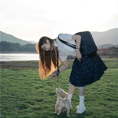 孤恋花